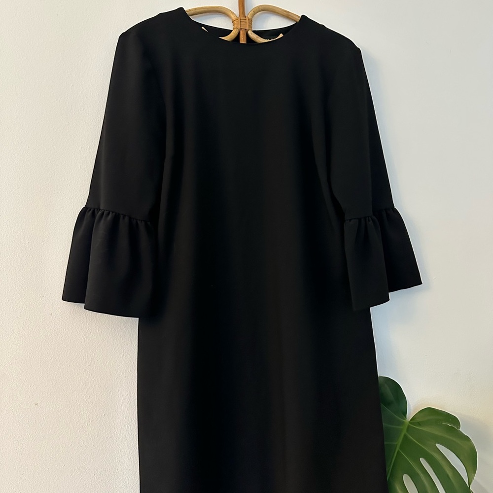 Zara Black  Dress with Ruffle Sleeves
